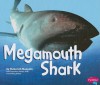 Megamouth Shark - Deborah Nuzzolo