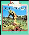 Life In A Tide Pool - Allan Fowler