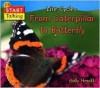 From Caterpillar to Butterfly - Sally Hewitt