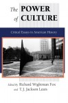 The Power of Culture: Critical Essays in American History - Richard Wightman Fox, T. J. Jackson Lears