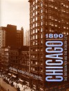 Chicago 1890: The Skyscraper and the Modern City - Joanna Merwood-Salisbury