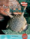 Incredible Mollusks - John Townsend