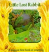 Little Lost Rabbit (Magic Windows: Pull the Tabs! Change the Pictures!) - Stewart Cowley, Susi Adams, Kate Davies