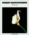 Ten by Ten - Robert Mapplethorpe, Els Barents