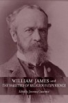 William James and the Varieties of Religious Experience: A Centenary Celebration - Jeremy R. Carrette