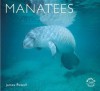 Manatees - James Powell