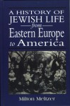 A History of Jewish Life from Eastern Europe to America - Milton Meltzer