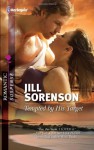 Tempted by His Target - Jill Sorenson