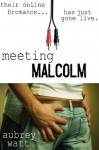 Meeting Malcolm (First Time Reluctant Gay Erotica) - Aubrey Watt