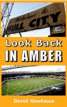 Look Back in Amber - David Goodman