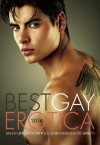 Best Gay Erotica 2014 - Larry Duplechan, K. Lynn, Lee Hitt