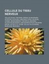 Cellule Du Tissu Nerveux: Cellule Gliale, Neurone, Reseau de Neurones Artificiels, Myeline, Substance Grise, Neurone Formel, Neurogenese, Theorie Du Neurone, Plasticite Neuronale, Mecanorecepteur, Neurone Miroir, Astrocyte, Axone - Source Wikipedia, Livres Groupe