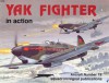 Yak Fighter In Action - Hans-Heiri Stapfer, Don Greer, Joe Sewell
