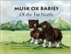 Musk Ox Babies of the Far North - Helen Von Ammon, Erin Marie Mauterer