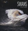 Swans - Nicole Helget