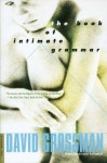 The Book of Intimate Grammar - David Grossman, Betsy Rosenberg