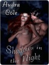 Shadows in the Night - Audra Cole