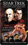 Star Trek The Next Generation: Slings and Arrows, Book 1: A Sea of Troubles - J. Steven York, Christina F. York