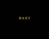 Baxt (Fate) - Andrew Miksys, Andrei Codrescu