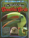 The World's Most Beautiful Birds - Annie Buckley