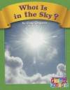 What Is in the Sky? - Cindy Chapman