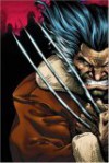 Weapon X: Days Of Future Now TPB (Weapon X) - Frank Tieri, Bart Sears