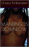 Mandingos Downlow: The Taming of an Ex-Con (Str8 Studs Downlow) - Ursula Kinkenstein