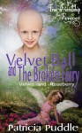 Velvet Ball and the Broken Fairy - Patricia Puddle