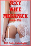 Sexy Wife Mega Pack Volume 5: Twenty Explicit Sexy Wife Erotica Stories - Melody Anson