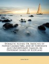 Domestic Scenes: Or, Sketches of Noted Characters, and of Fortunate and Unfortunate Families, in Different Shires of Scotland - John Smith