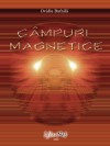 Câmpuri magnetice - Ovidiu Bufnilă