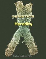 Heredity - Susan Schafer