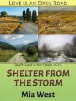 Shelter from the Storm - Mia West