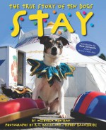 Stay: The True Story of Ten Dogs - Michaela Muntean, K.C. Bailey, Steve Kazmierski