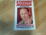 Stormin' Norman: An American Hero - Kurt Andersen