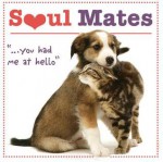 Soul Mates: You Had Me at Hello - Robin Haywood