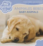 Baby Animals Bilingual - Chuck Abate