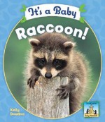 It's a Baby Raccoon! - Kelly Doudna