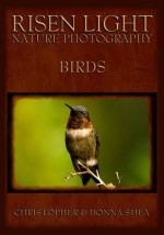 Risen Light Nature Photography of Birds - Christopher Shea, Donna Shea