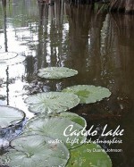 Caddo Lake: water, light and atmosphere - Duane Johnson