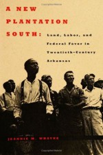 A New Plantation South: Land, Labor, and Federal Favor in Twentieth-Century Arkansas (Carter G. Woodson Institute Series) - Jeannie M. Whayne