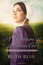 A Dream of Miracles (The Amish Wonders Series) - Ruth Reid