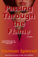 Passing through the Flame - Norman Spinrad