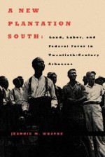 A New Plantation South: Land, Labor, and Federal Favor in Twentieth-Century Arkansas - Jeannie M. Whayne