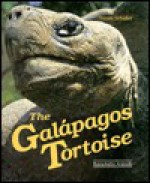 The Galapagos Tortoise - Susan Schafer