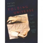 Folding the Universe: Origami From Angelfish to Zen - Peter Engel