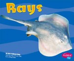 Rays - Jody Sullivan Rake, Gail Saunders-Smith, Debbie Nuzzolo