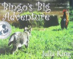 Bingo's Big Adventure - Julia King, Jenny Bixby, Karen Scarvie