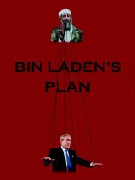 Bin Laden's Plan: The Project for the New Al Qaeda Century - David Malone