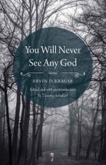 You Will Never See Any God: Stories - Ervin D. Krause, Timothy Schaffert